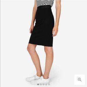 Everlane Stretch Point Tube Skirt